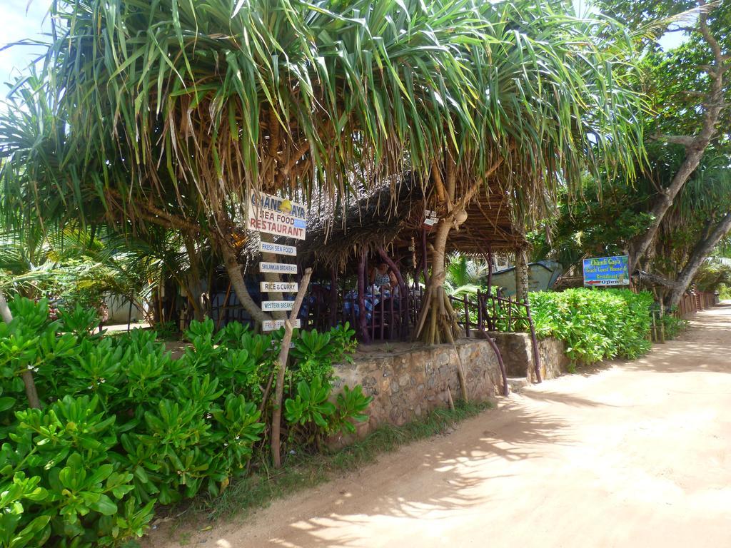 Chandi Gaya Beach Guesthouse تانجالي المظهر الخارجي الصورة